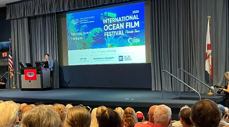 Ocean Conservation Efforts Gain Momentum