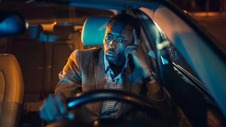 The Therapeutic Benefits of Taking a Break in Your Car - image 3