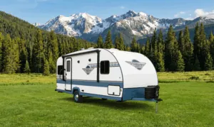 Vintage Cruiser's Retro Charm Sparks 36% Growth
