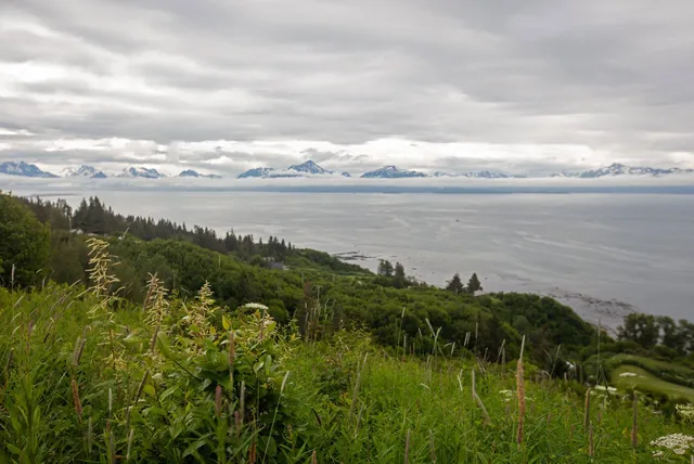 Trump Administration's Alaska Offshore Auction Falls Flat