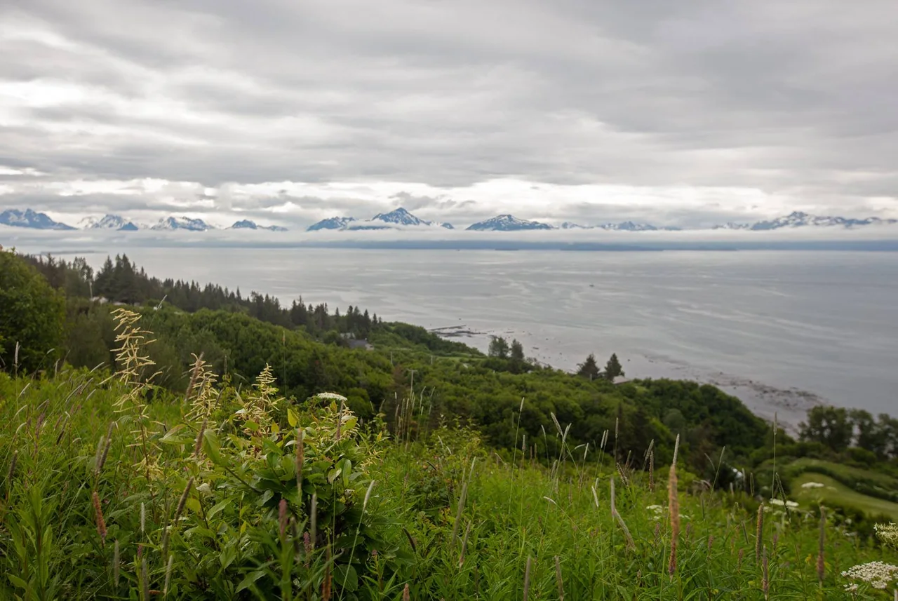 Trump Administration's Alaska Offshore Auction Falls Flat